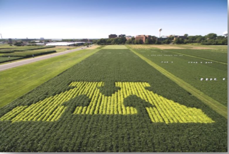 locandina Caffescienza Agricoltura del futuro